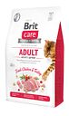 Vorschaubild Brit Care Fresh Chicken&Turkey getreidefrei Activity Katzentrockenfutter