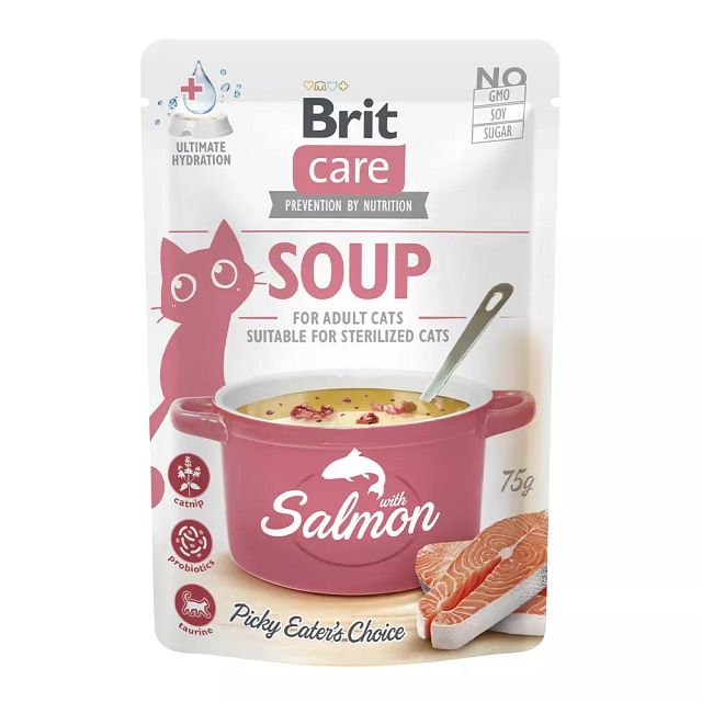 Brit Katze SoupVorschaubild