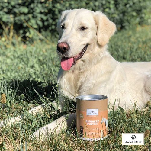 Paws & Patch reines BIERHEFE PULVER 250g für Hunde & Katzen