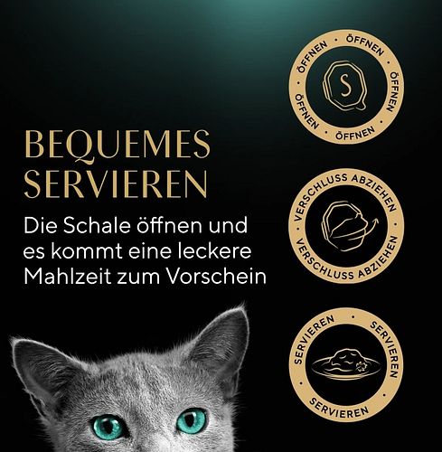 Sheba Seasons Collection wechselnde Sorten 22x85 g