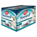 Vorschaubild Simple Solution Training Pads