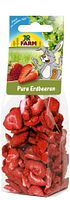 JR FARM Pure Erdbeeren 20g Kleintiersnack