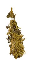 JR FARM Birds Amaranth 30g Vogelsnack