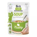 Brit Katze SoupVorschaubild