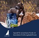 Vorschaubild Dr. Clauder's Best Choice Lifecycle Hyposensitive Hirsch & Kartoffel All Breed Hundetrockenfutter