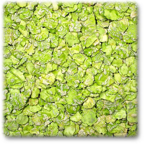 JR FARM Erbsenflocken Kleintiersnack