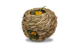 JR FARM Nager Löwenzahn-Nest 130g Kleintiersnack