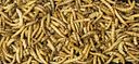 Vorschaubild JR FARM Mehlwürmer 70g Kleintiersnack