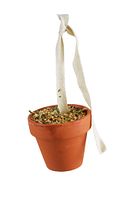 JR FARM Birds Tontöpfchen Wellensittich & Kanarien 80g Vogelsnack