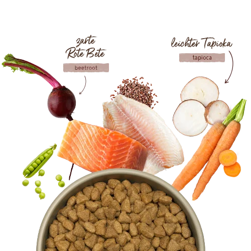 bosch tiernahrung 12kg Menue Lachs und Forelle Hundetrockenfutter