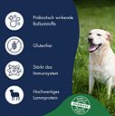 Vorschaubild Dr. Clauder's Best Choice Lifecycle Sensitive Adult Lamm & Reis All Breed Hundetrockenfutter