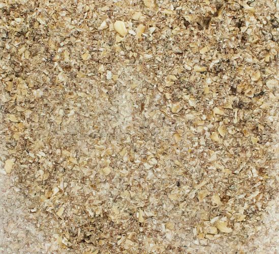 JR FARM Igel Breifutter 200g Wildtierfutter