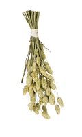 JR FARM Birds Kanariensaat 20g Vogelsnack