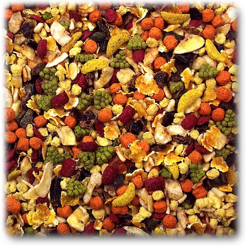 JR FARM Obst-Salat 200g Kleintiersnack