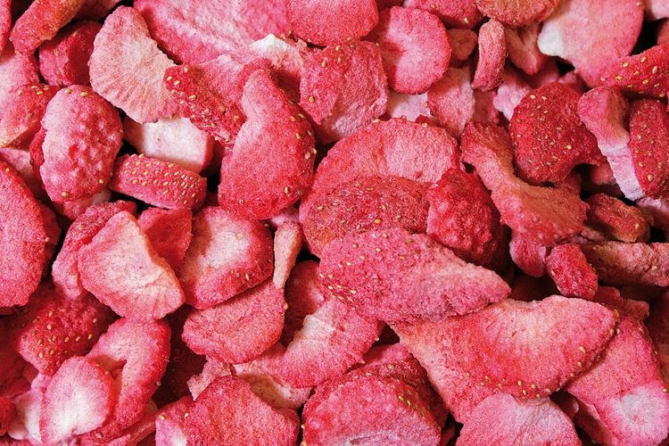 JR FARM Pure Erdbeeren 20g Kleintiersnack