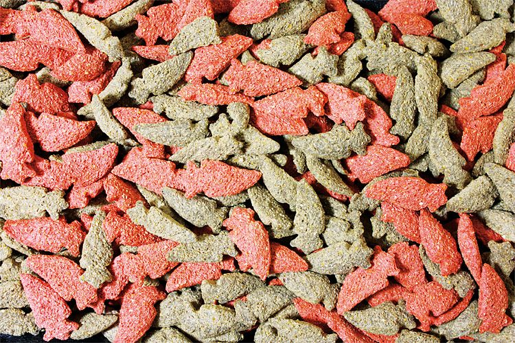 JR FARM Möhrchen 200g Kleintiersnack