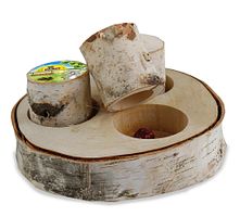 JR FARM Nager Train the Brain Forest (1 Stück) Intelligenzspielzeug für Kleintiere