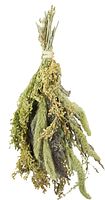 JR FARM Hirsen-Potpourri 50g Vogelsnack