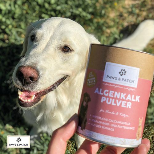 Paws & Patch ALGENKALK PULVER 250g für Hunde und Katzen