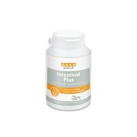 grau Intestinal Plus Tabletten Nahrungsergänzung