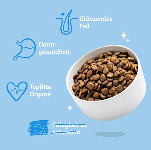 Edgard&Cooper Adult norwegischer Lachs getreidefrei Hundetrockenfutter