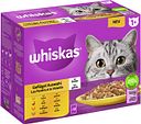 Vorschaubild Whiskas 1+ Geflügel Auswahl in Gelee 12 x 85 Gramm Multipack Katzennassfutter