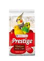 VERSELE-LAGA Premium Muschelsand MarineVorschaubild